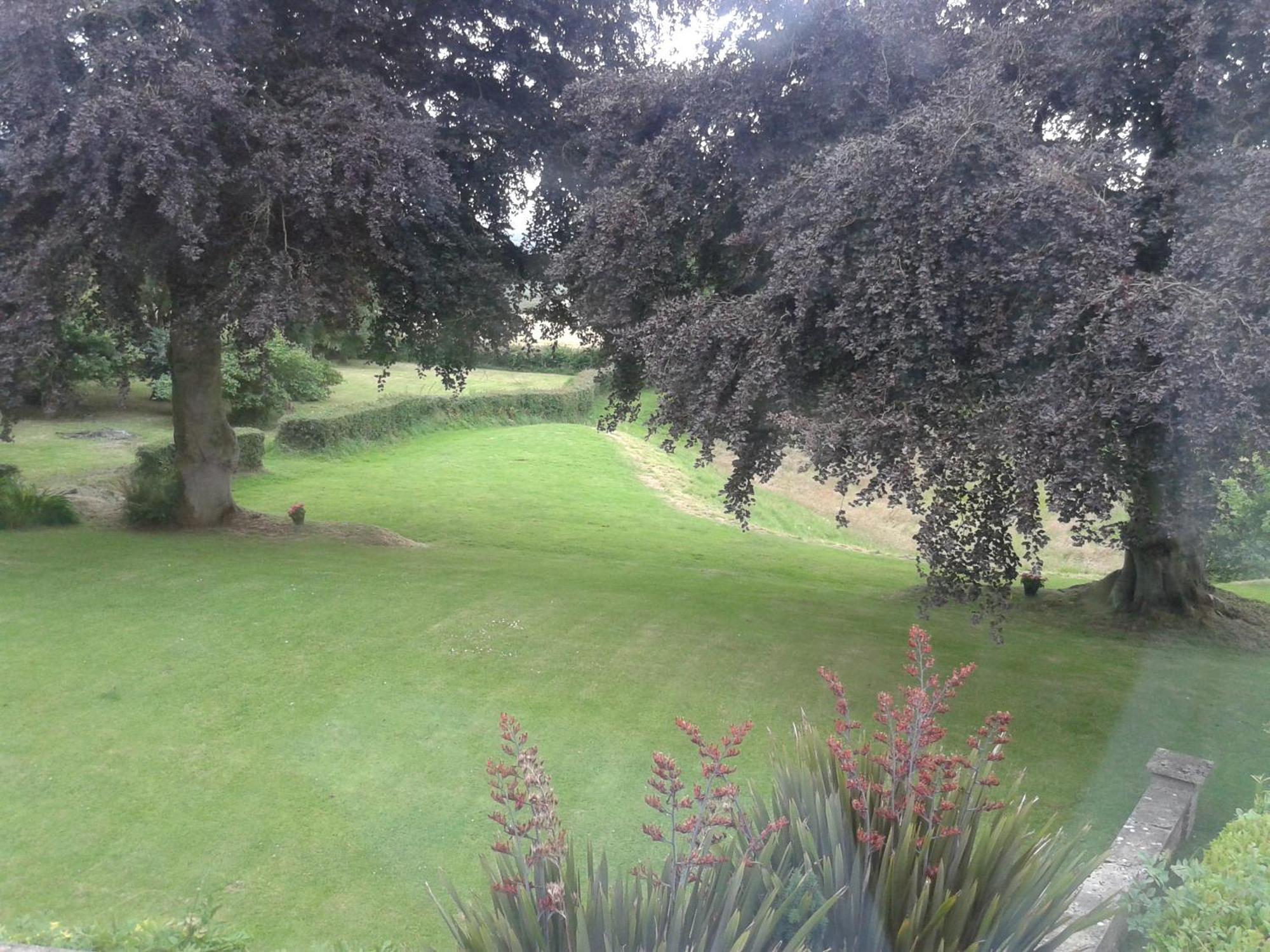 Buckley Farmhouse B & B Sidmouth Szoba fotó