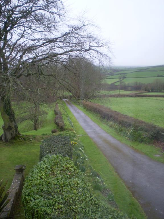 Buckley Farmhouse B & B Sidmouth Kültér fotó