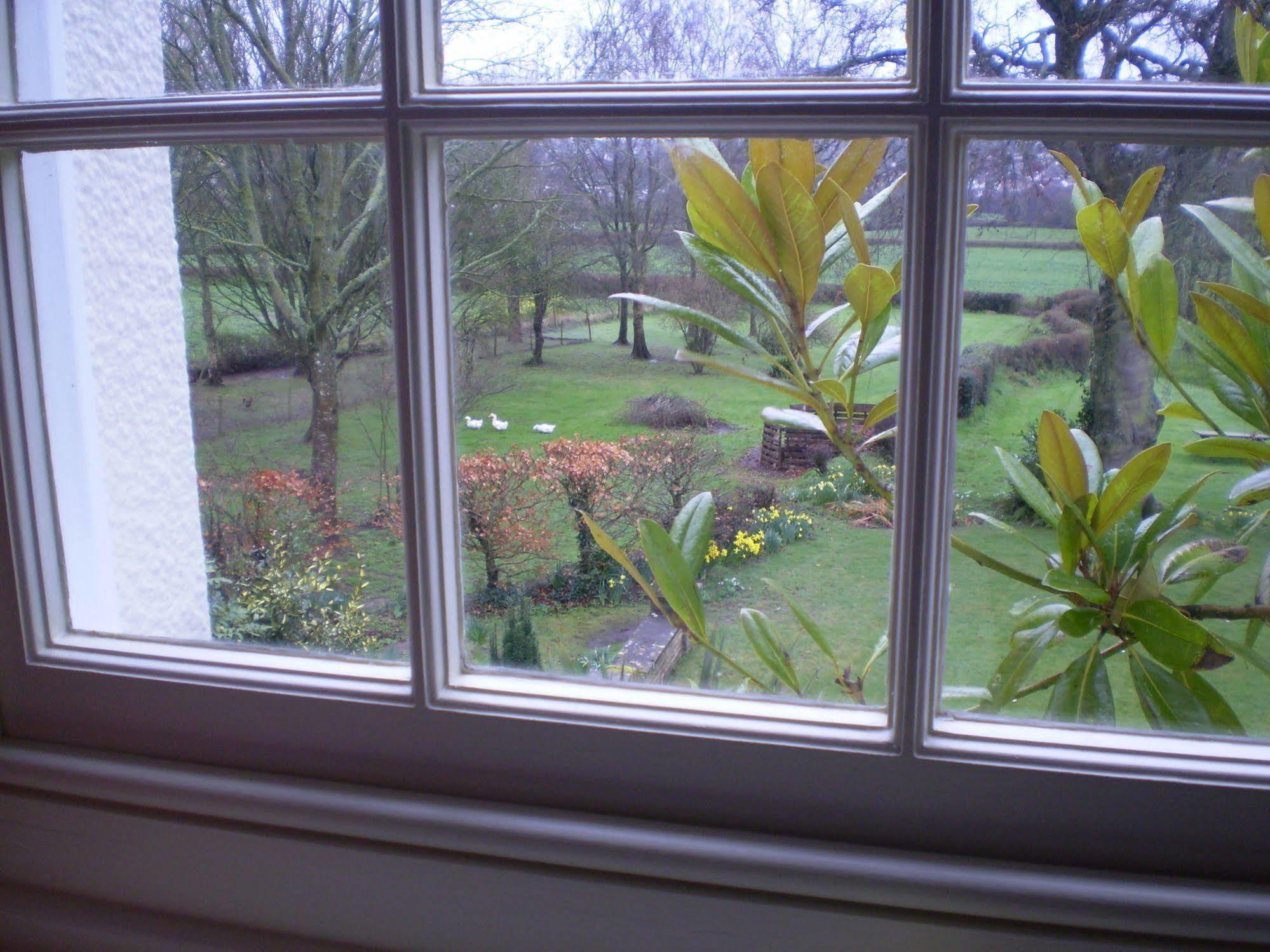 Buckley Farmhouse B & B Sidmouth Kültér fotó