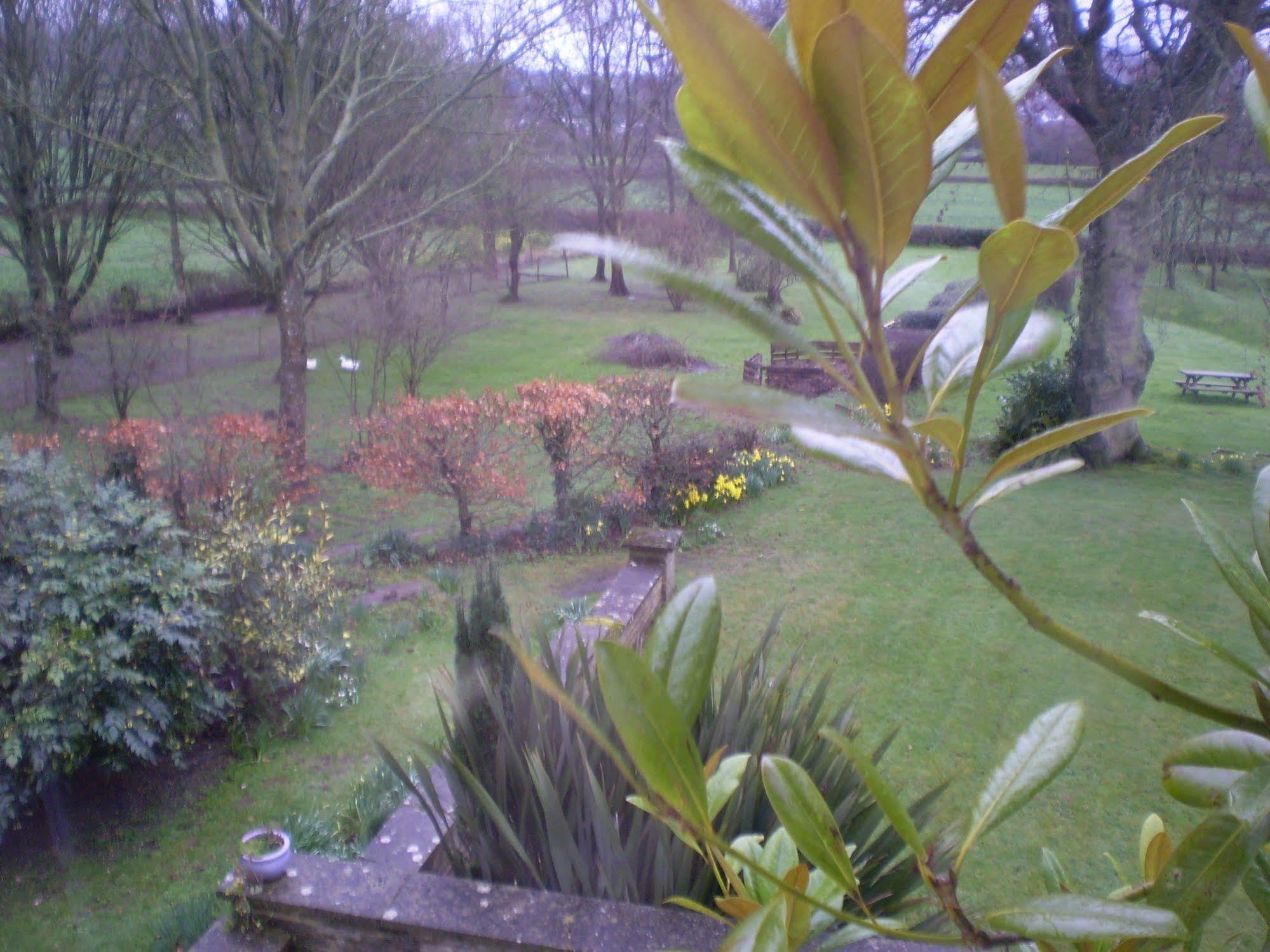 Buckley Farmhouse B & B Sidmouth Kültér fotó
